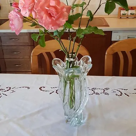 Apartament μaisonette Trikalon Pýli
